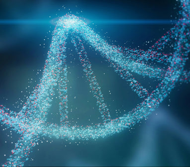 Unlock Your Gut’s Secrets