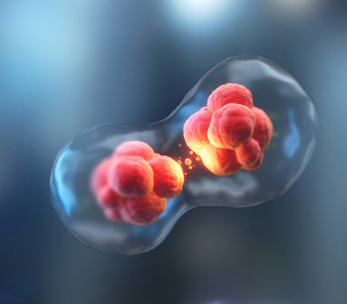 Personalized Wellness Awaits